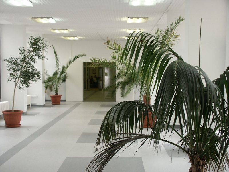 A kórház belső tere.